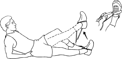 Seated straight discount leg raise exercise